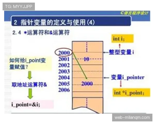 着地空间规则如何理解与判罚标准解析要点汇总